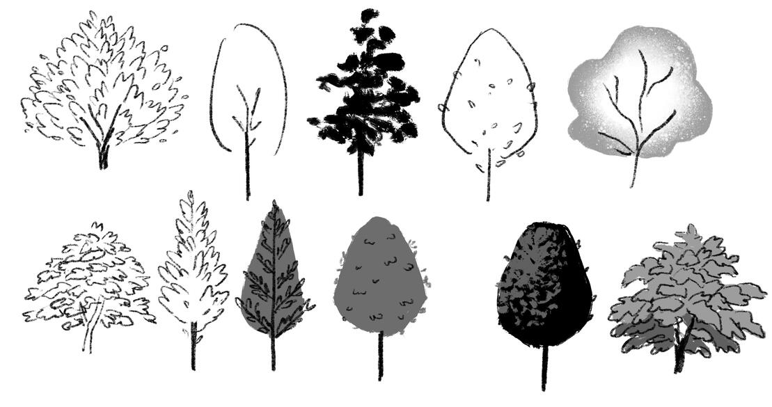 Trees